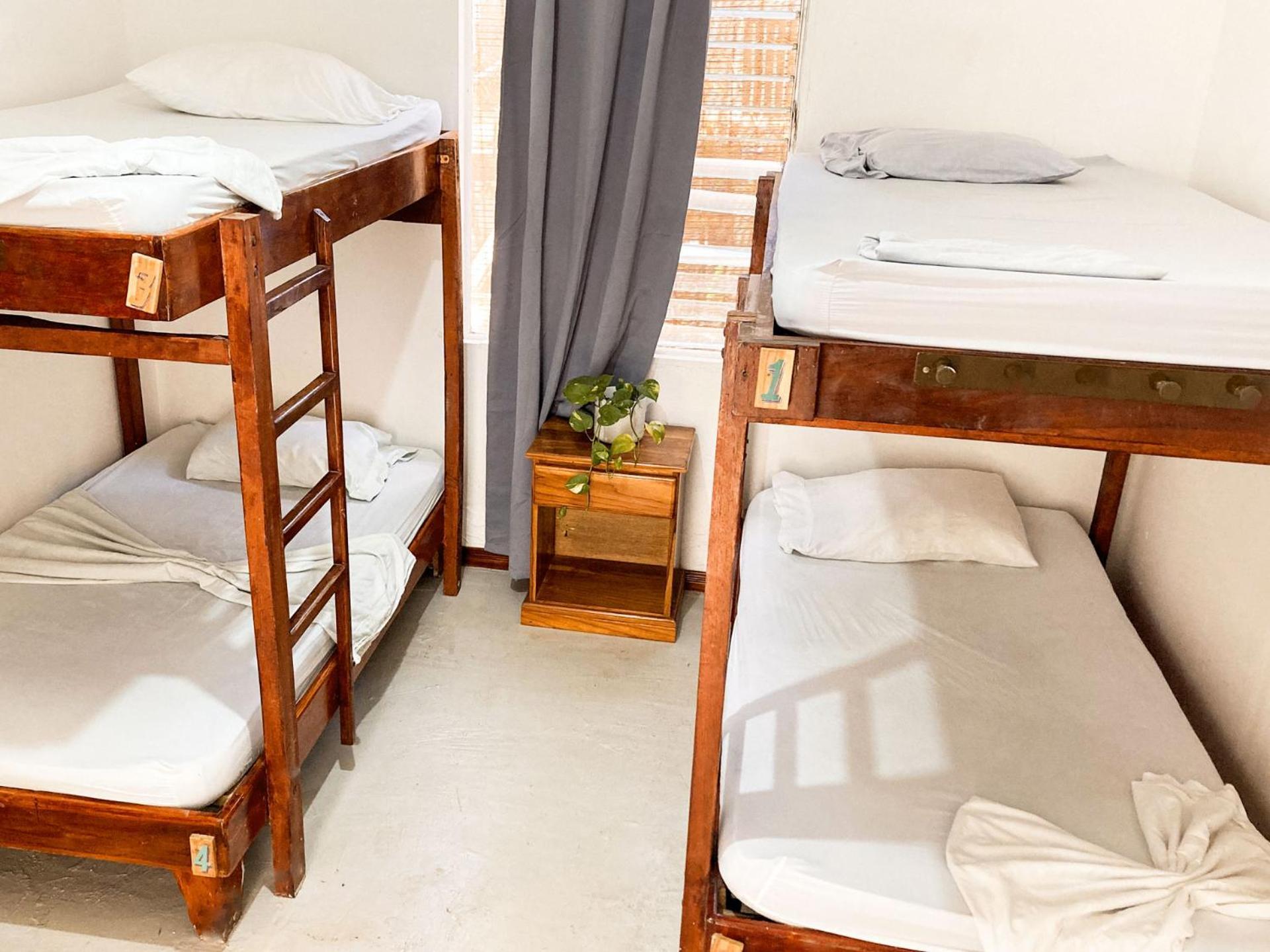 La Posada - Hostel Playa Santa Teresa  외부 사진